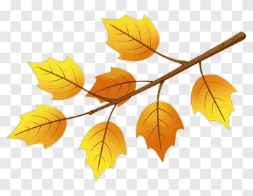 Autumn Branch With Yellow Leaves PNG
