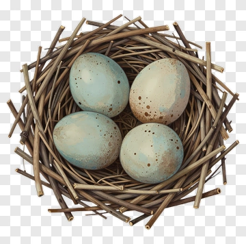 Nest With Four Blue Eggs PNG