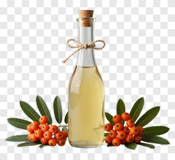 Bottle Of Oil With Sea Buckthorn Berries PNG