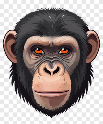 Cartoon Monkey Face PNG
