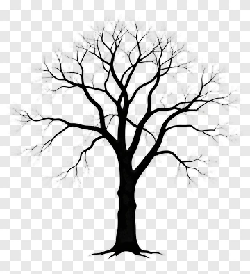 Black Tree With Bare Branches PNG