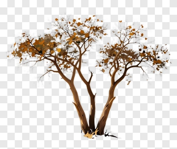 Colorful Tree With Autumn Leaves PNG