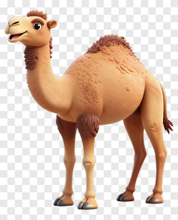 Cartoon Camel PNG