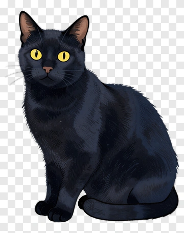 Cartoon Black Cat PNG