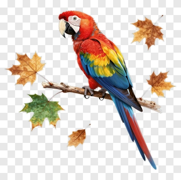 Colorful Parrot Sitting On A Branch With Leaves PNG