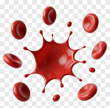 Red Blood Cells And Blood Splash PNG