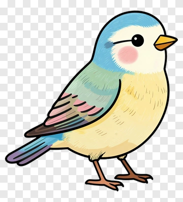 Cartoon Bird PNG