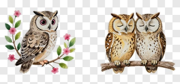 Watercolor Owl Sitting On A Branch PNG