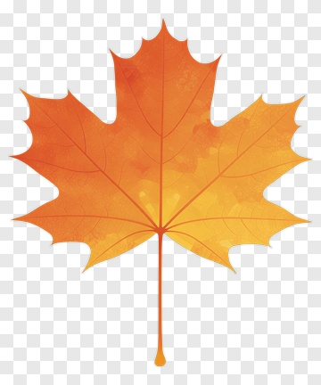 Colorful Maple Leaf PNG