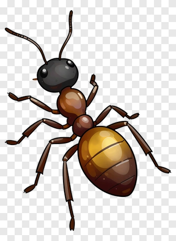 Cartoon Ant PNG