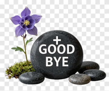 Goodbye Stone With Flower PNG