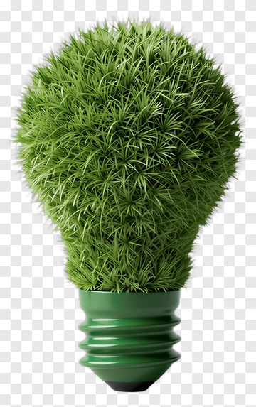 Green Grass Light Bulb PNG