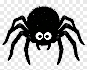 Cartoon Spider With Big Eyes PNG