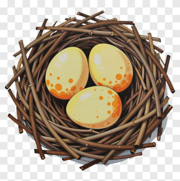 Nest With Three Yellow Eggs PNG