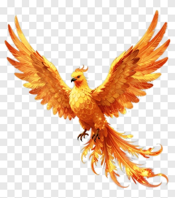 Colorful Phoenix With Fiery Wings PNG