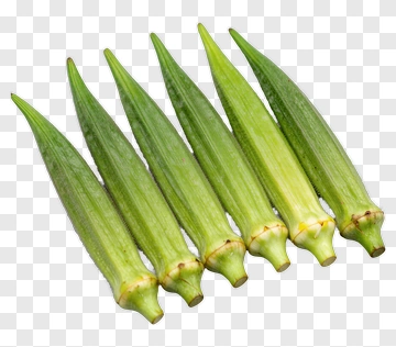 Fresh Okra Pods PNG