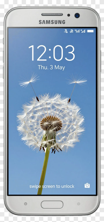 Dandelion Close-Up On Smartphone Screen PNG