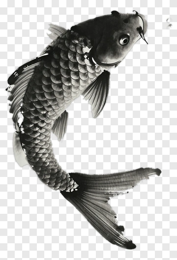 Black And White Koi Fish PNG
