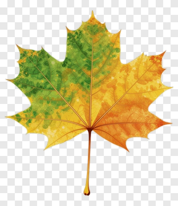 Colorful Maple Leaf PNG