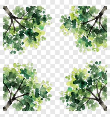 Watercolor Green Tree Branches PNG