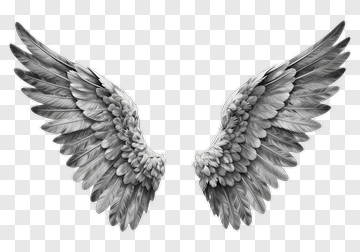 Feathered Angel Wings PNG