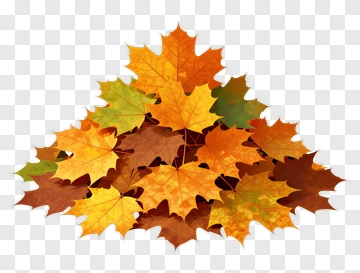 Colorful Autumn Leaves Pile PNG