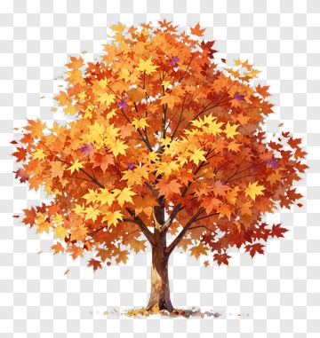 Colorful Maple Tree In Autumn PNG