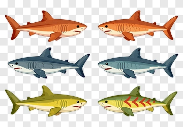 Cartoon Sharks Collection PNG