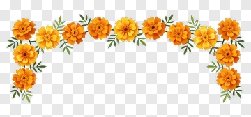 Orange Floral Border With Green Leaves PNG