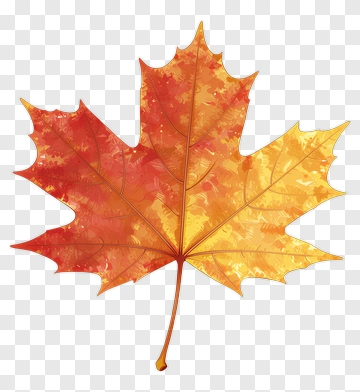 Colorful Maple Leaf PNG