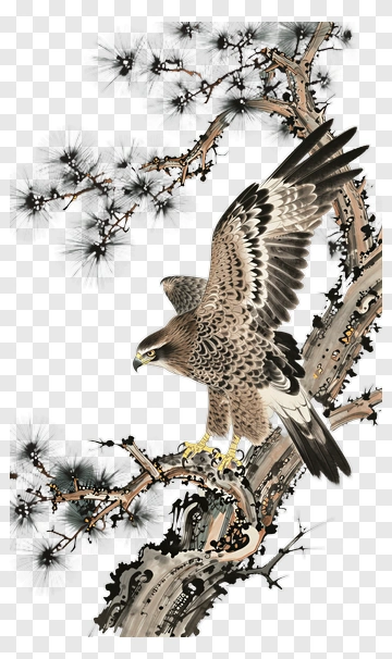 Hawk Perched On A Branch PNG