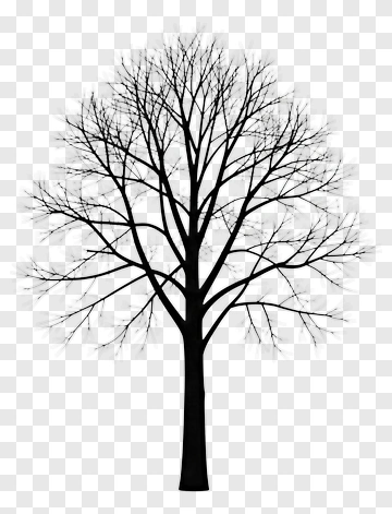 Silhouette Tree PNG