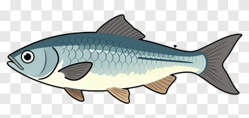 Cartoon Fish PNG