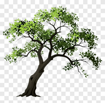 Colorful Tree PNG
