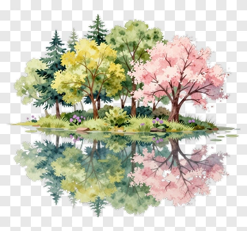 Colorful Trees By A Tranquil Lake PNG