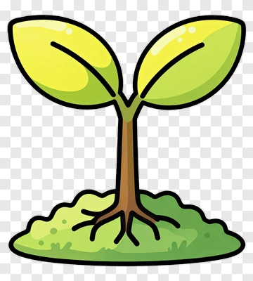 Cartoon Sprout With Green Leaves PNG