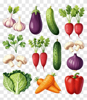 Colorful Vegetable Collection PNG