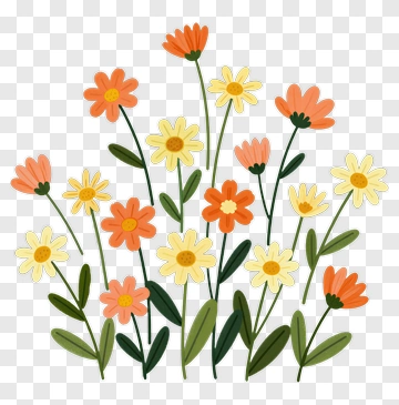 Colorful Flower Bouquet PNG