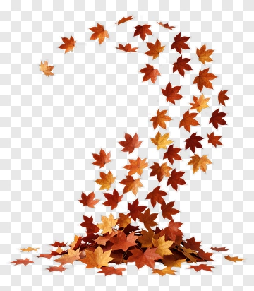 Falling Autumn Leaves PNG