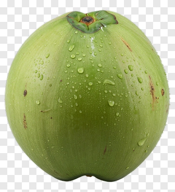 Green Coconut With Water Droplets PNG