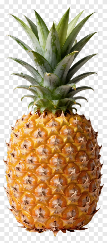 Fresh Pineapple PNG