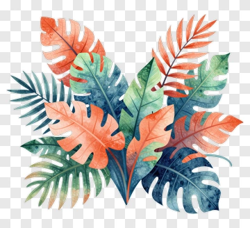 Colorful Tropical Leaves Arrangement PNG