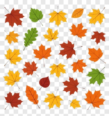 Colorful Autumn Leaves PNG