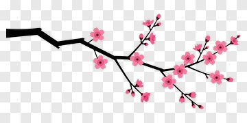 Cherry Blossom Branch PNG