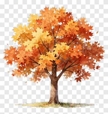 Colorful Maple Tree PNG