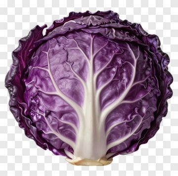 Purple Cabbage With Visible Veins PNG