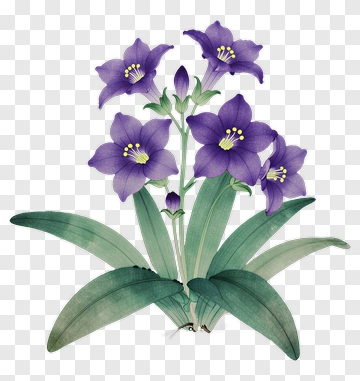 Purple Flower Bouquet PNG