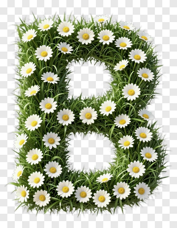 Floral Letter B PNG