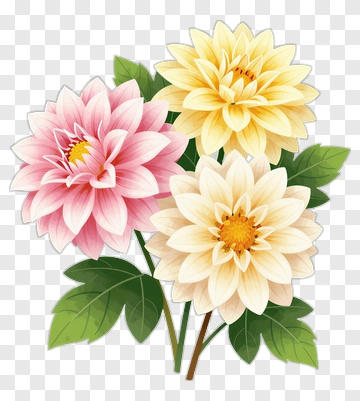 Colorful Flower Bouquet PNG