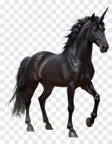 Black Unicorn With Flowing Mane PNG